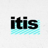 ITIS / Чят