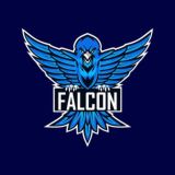 FALCON ™