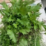 💚ПиТаНиЕ💚 ЕдА💚