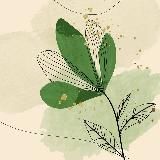 ilterra - Сад Елены Прониной