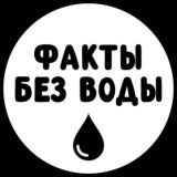 Факты без воды