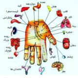 آموزش تشخیص بیماریها از کف دست