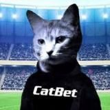 CatBet - Ставки на спорт