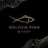 GF_GoldenFish🐠