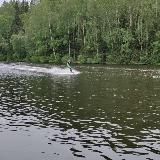 Южный Движ, про туризм и путешествия 🏄‍♂️🛫🏖️