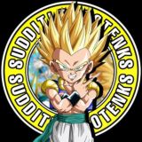 I follower di Gotenks