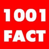 1001facts