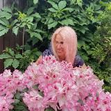 🌲МОЙ АВТОРСКИЙ САД🪴