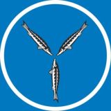 Говорит Саратов