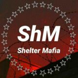 Shelter Mafia