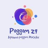 29 роддом