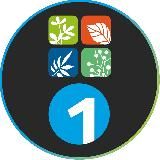 ГК «ЦП» и 1 СТУДИЯ ПОЛИВА