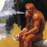 I feed dogs chocolate