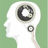 Образование