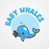 Baby Whales Trading Group🐋🐳