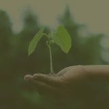 Цитаты | Афоризмы | Высказывания
