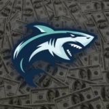 Shark 1XBET