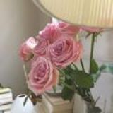 🆆🅴🆁🅴🆆🅾🅻🅵 🅽🅴🆆