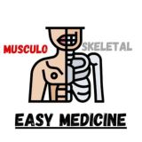 Easy Musculoskeletal Module