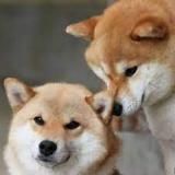 ☁️开云体育官网🏆彩金福利客服⚽️欧洲杯赞助商