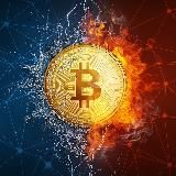 Coin Daily | Инсайдер 🤫