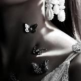 Ꭰilᴇʍʍᴀ fixᴇr