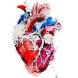 Сердечная команда Узбекистана