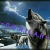 🕺🕺🕺Jondor bachalar 70/70 ,🤺🤺🤺