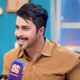 باهر الجنديل