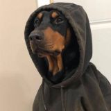 🥛ℂ𝕙𝕠𝕔𝕠𝕝𝕒𝕥𝕖_𝕄𝕚𝕝𝕜🍫