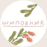 shipovnik workshop ⚘