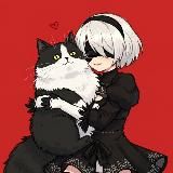 Личка Админа 2