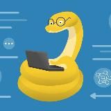 PYTHON ONLINE