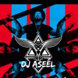 Dj AseeL Music