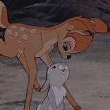 Лило и Стич | Мультфильмы