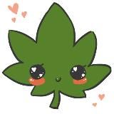 Муравушка гровер