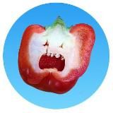 В этом есть смысл | Ельчанинова