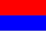 НЕ МИД РФ (NL - The Hague)