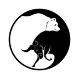 MacGyver Fx Trading Fanatics📊