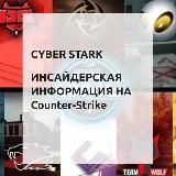 Cyber-stark.ru слив прогнозов | Складчина