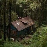 !! ЗАКРЫТО!!🍀.}В лесу у Крис{.🌿