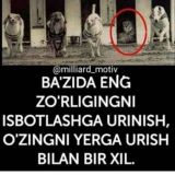 ❄️R_a-D_N-o_Y-l_A❄️