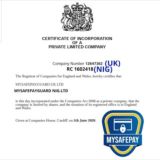 ANTI FRAUD PARTNER TEAM SUPERIOR