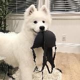 ﾟ+:✿｡₊˚ ꕤ 两姐妹’𝐬 𝐂𝐋𝐎𝐒𝐄𝐓 ꕤ ₊˚+:✿｡