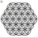 Welt Wissen-schaffen-erhalten Archiv💡⚙🔭🔬⚡🌐