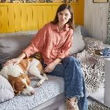 Записки дачного амбассадора