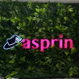 Asprinfashion