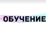 Alex обучение