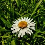 Канал помощи в выборе смартфона