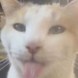 Полуголые бабы